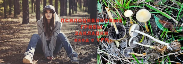 винт Михайлов