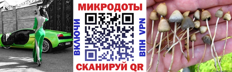 Псилоцибиновые грибы GOLDEN TEACHER  Назрань 