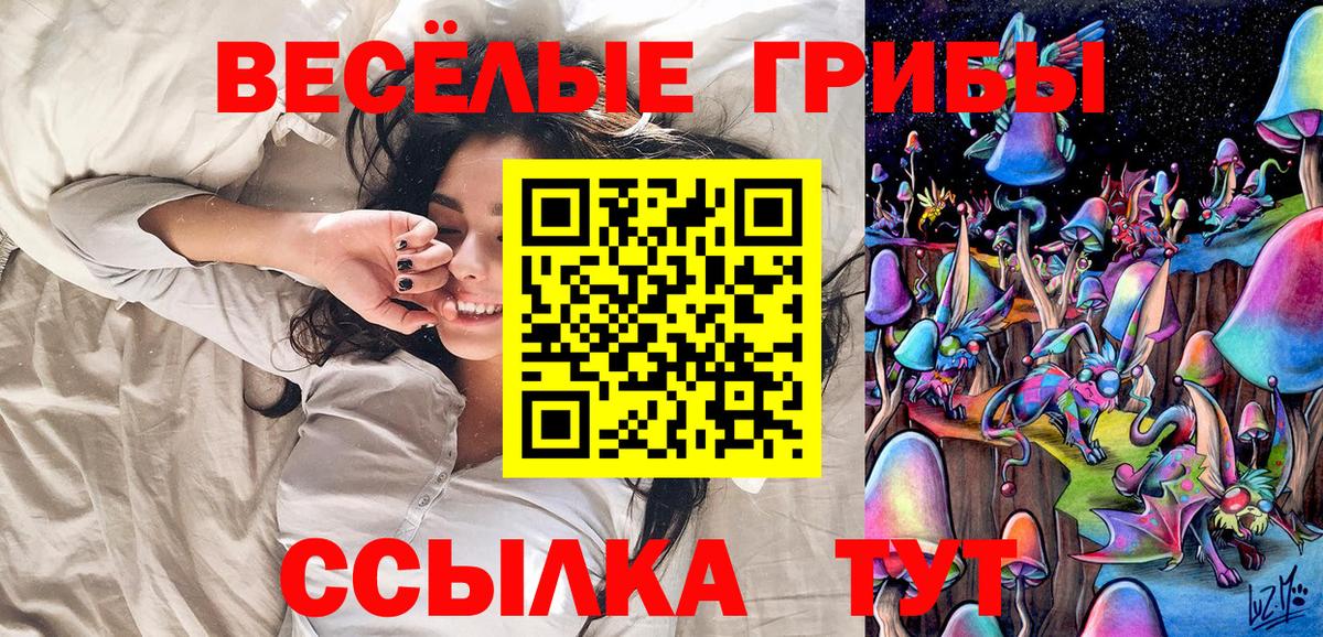 Псилоцибиновые грибы мицелий  Вход с VPN  Галлюциногенные грибы GOLDEN TEACHER  Назрань 