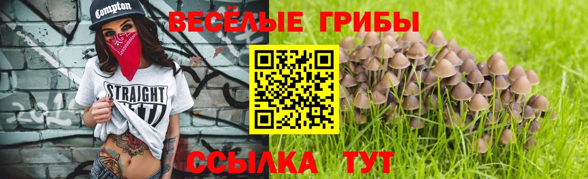 что такое   Галлюциногенные грибы Magic Shrooms  Назрань  Галлюциногенные грибы Psilocybine cubensis 